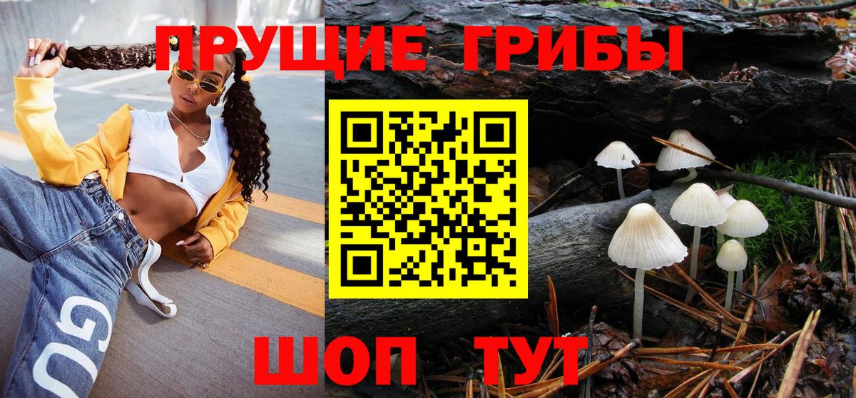 Галлюциногенные грибы Cubensis  Вход с VPN  Сергиев Посад  Псилоцибиновые грибы Psilocybe 